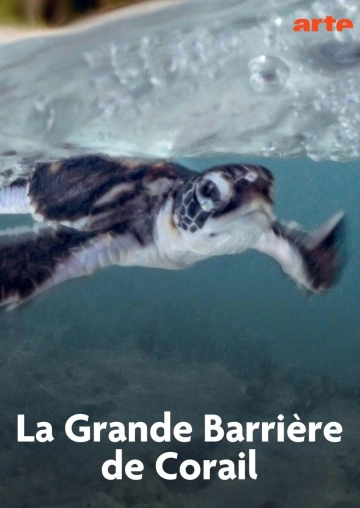 Les sentinelles de la Grande Barrière de Corail - Saison 1